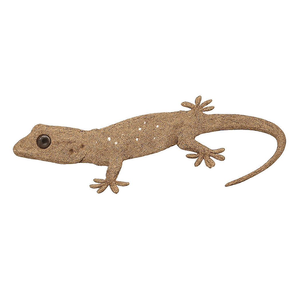 Gecko à gorge blanche