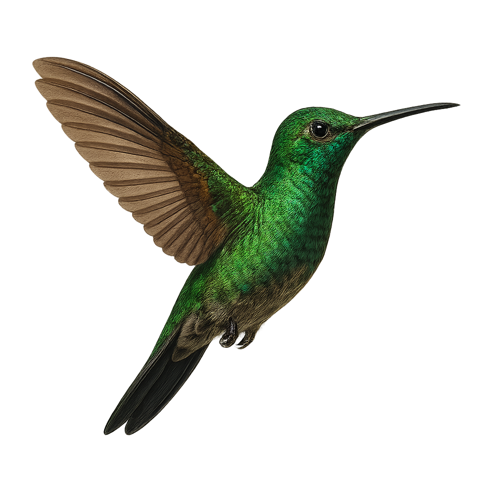 Brillante coroniverde