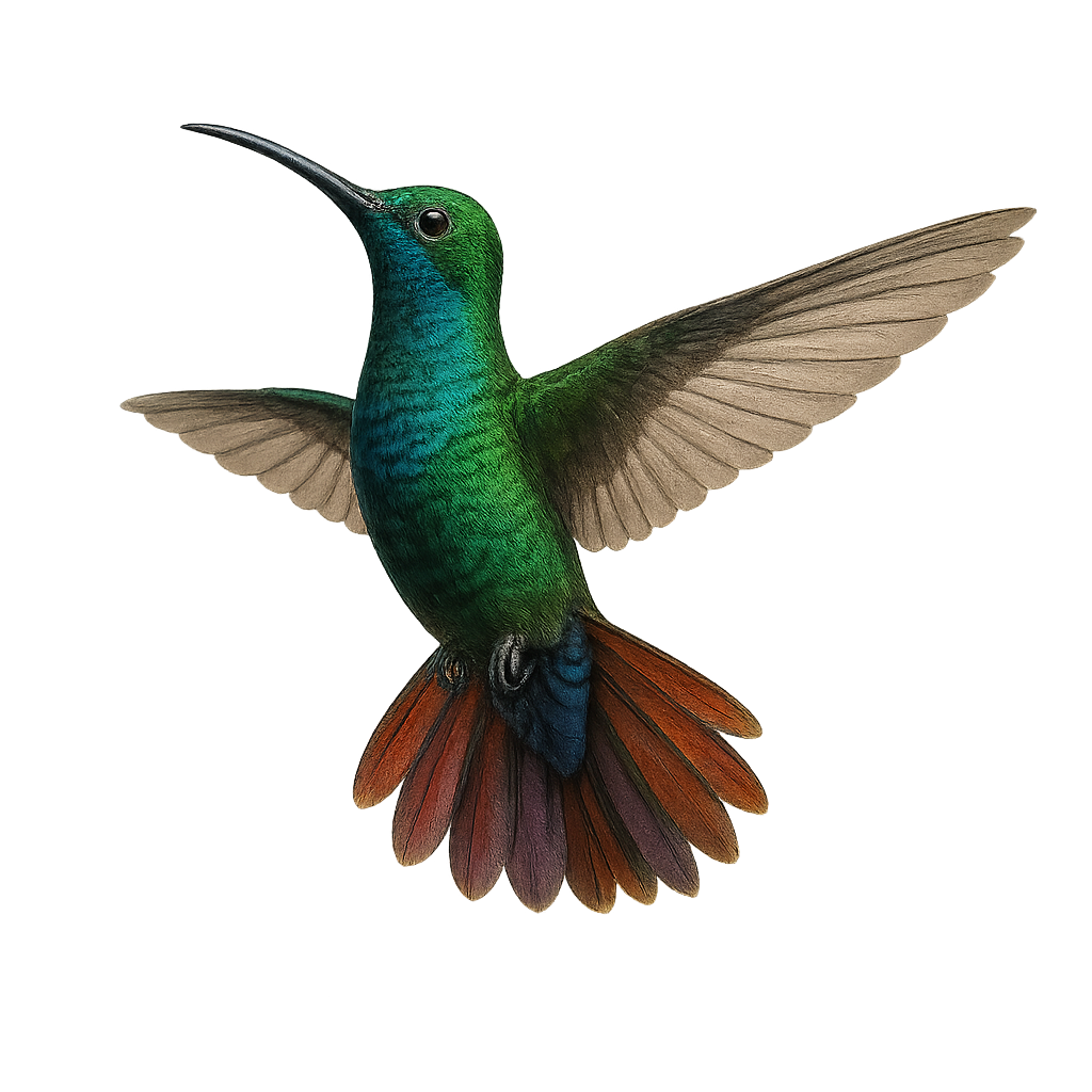 Green-throated Mango